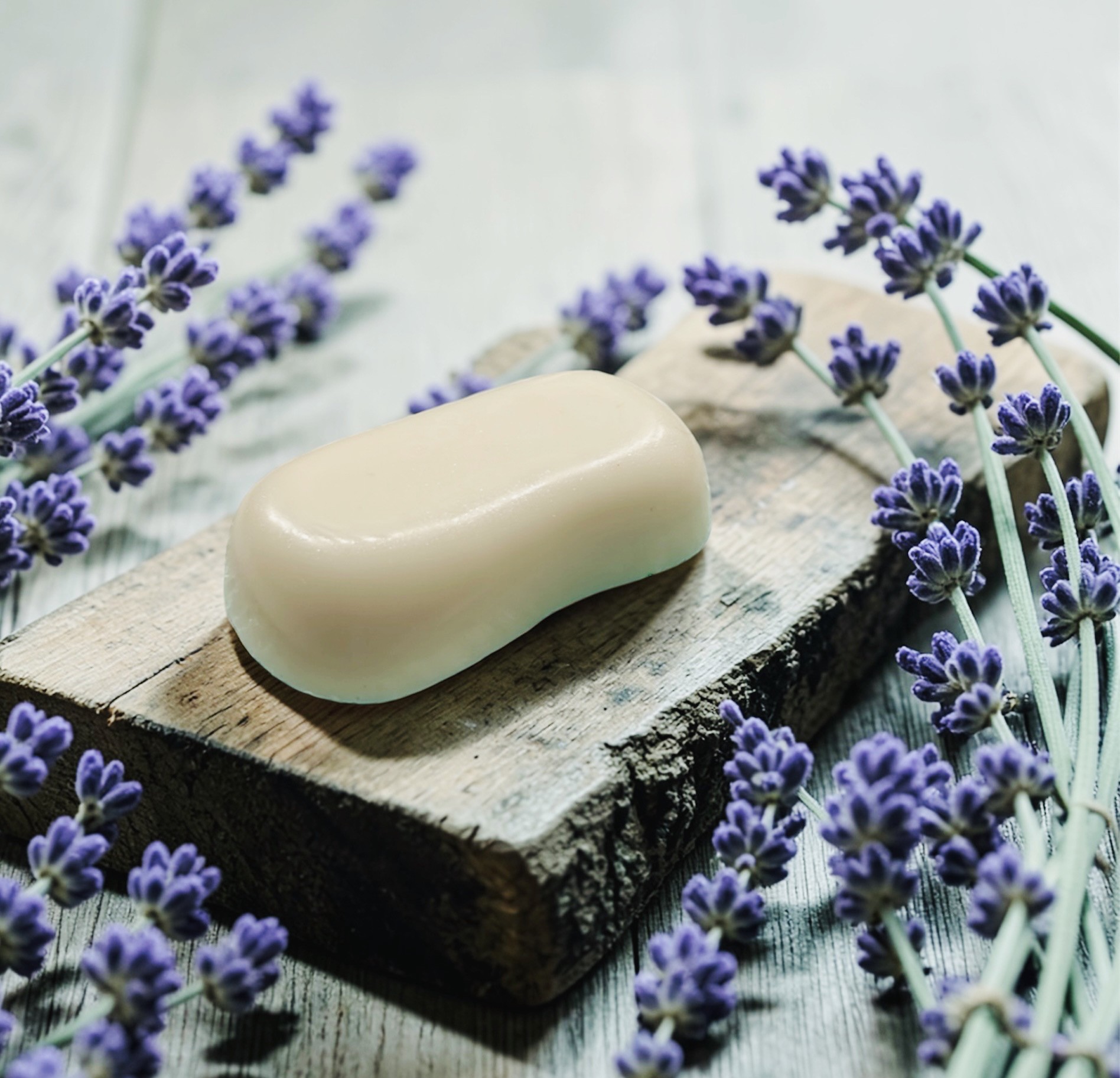 DANDI Beauty Bar Lavendar